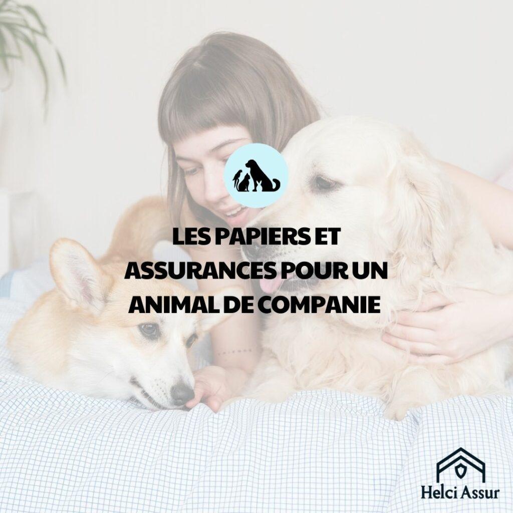 LES PAPIERS ET ASSURANCES POUR UN ANIMAL DE COMPANIE