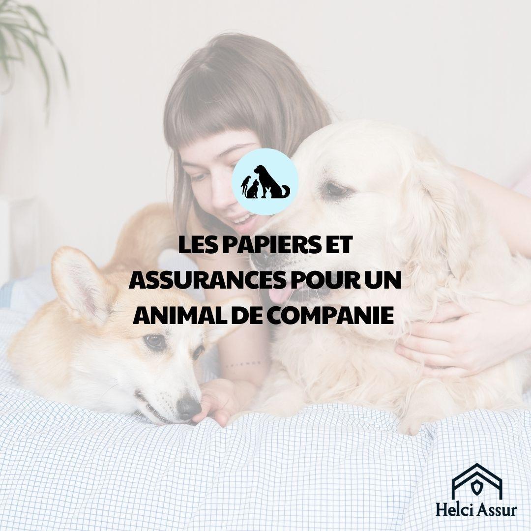 LES PAPIERS ET ASSURANCES POUR UN ANIMAL DE COMPANIE